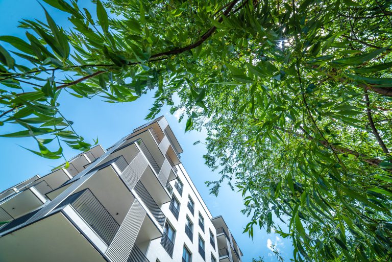 218761919_6206012932750038_4022379632768045657_n